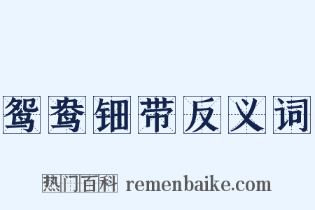 鸳鸯钿带反义词是什么意思的图片